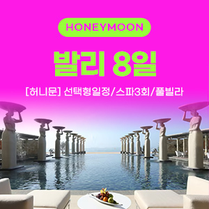 [해외여행] [허니문] 발리 8일